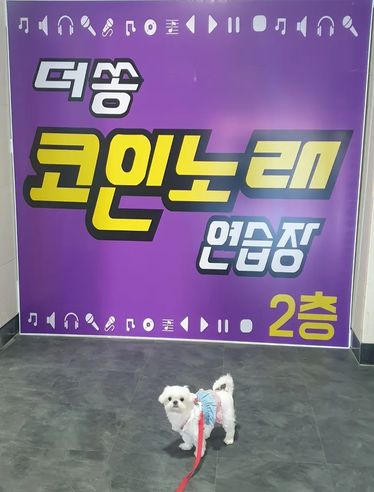더쏭 코인노래연습장 대표 이미지