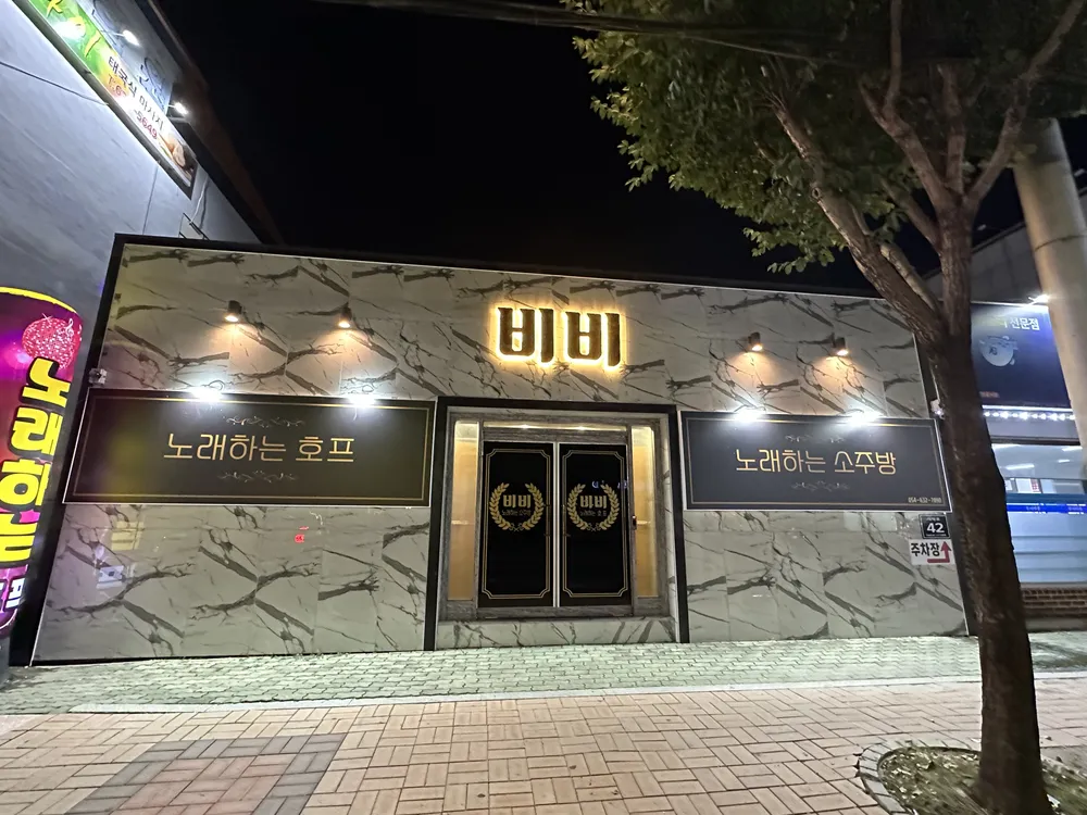 노래하는 호프 비비 대표 이미지