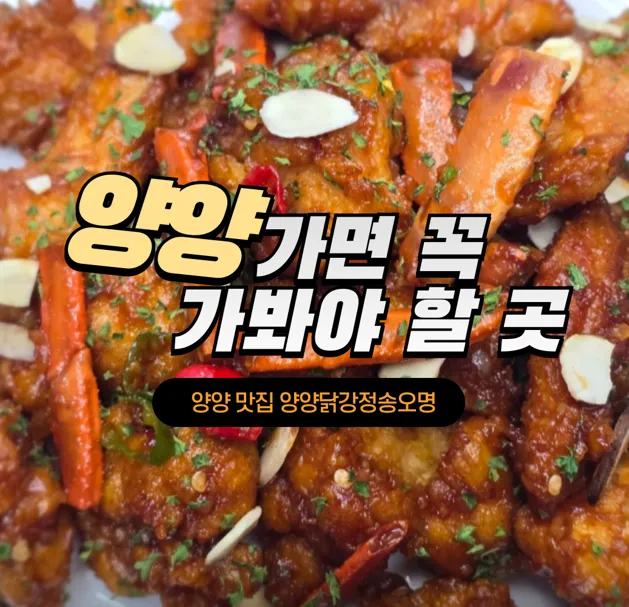 양양닭강정 송오명 대표 이미지
