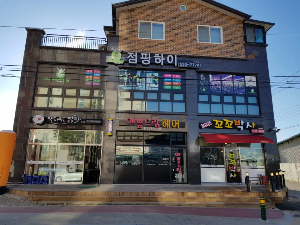 꼬꼬박사 대표 이미지