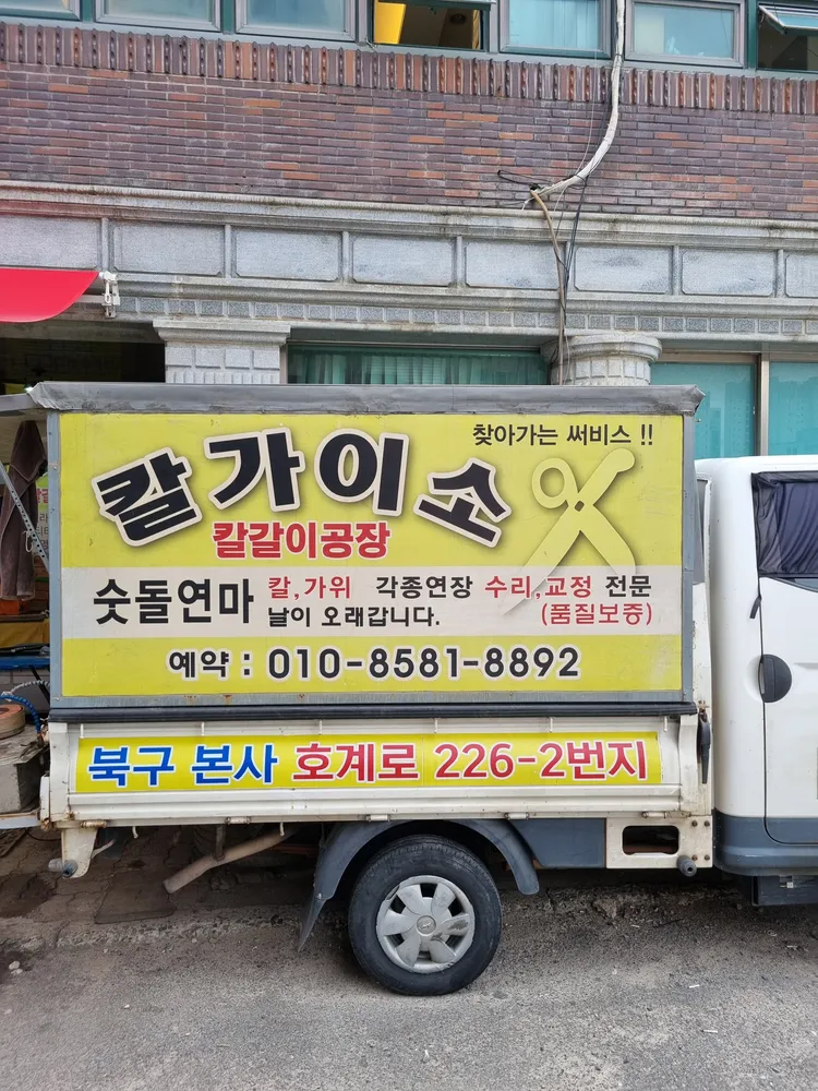 칼가이소 대표 이미지