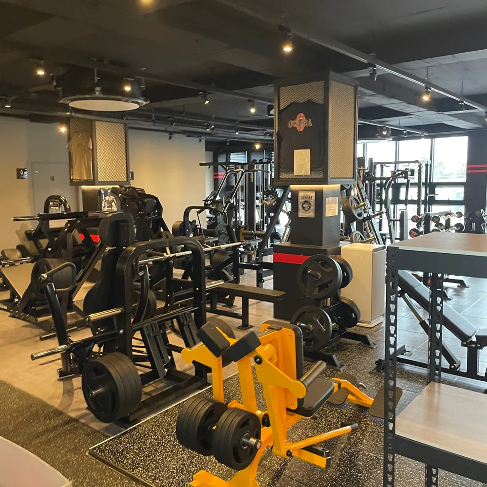 오늘도헬스 대표 이미지