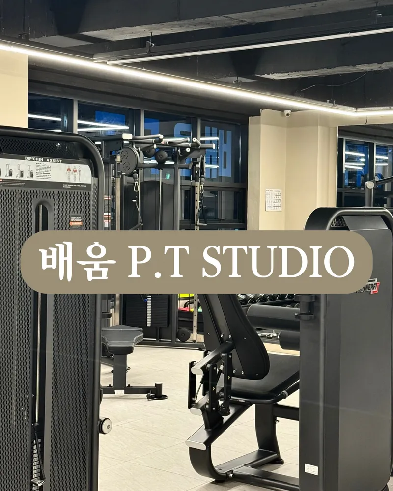 배움피티스튜디오 대표 이미지