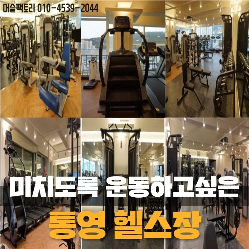 머슬팩토리 대표 이미지