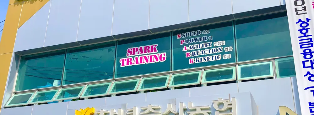 스파크 트레이닝 대표 이미지