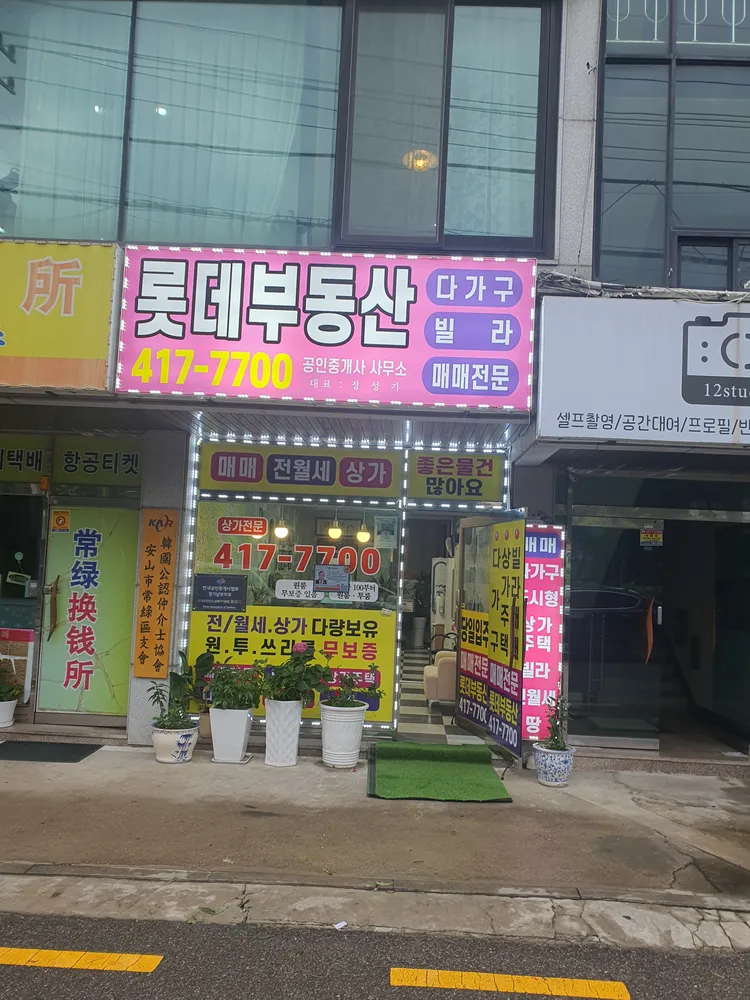 롯데부동산공인중개사사무소 대표 이미지