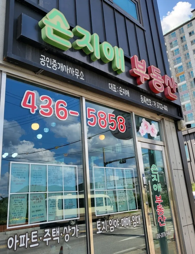 손지애공인중개사사무소 대표 이미지