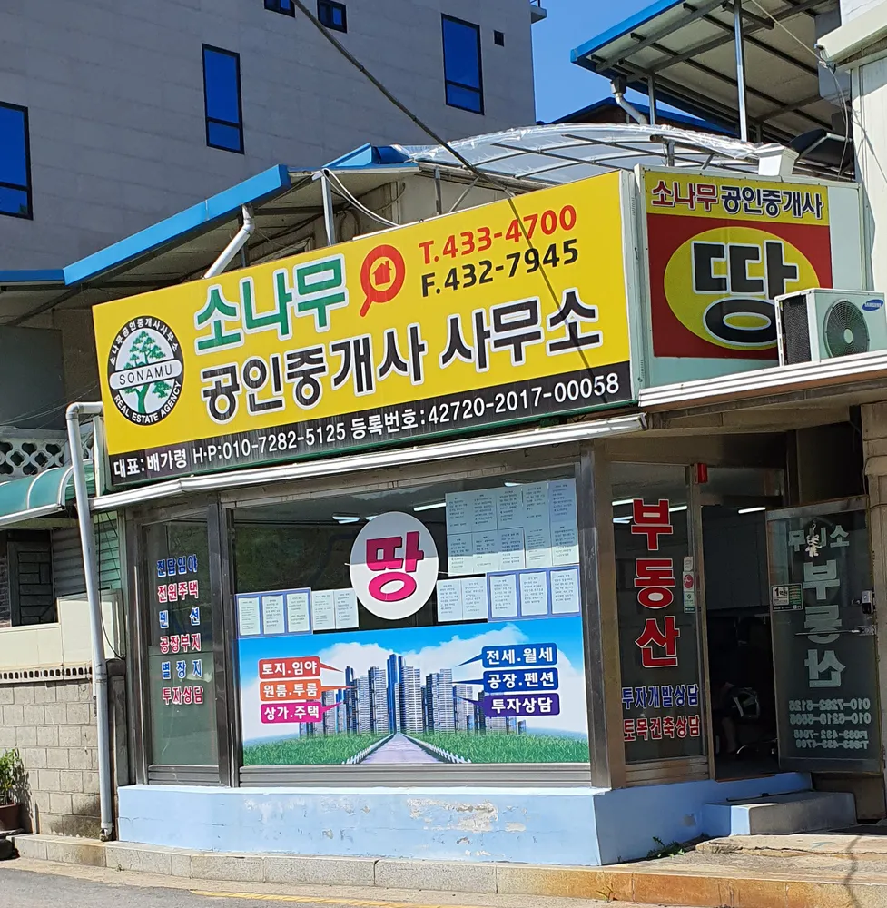 소나무공인중개사사무소 대표 이미지