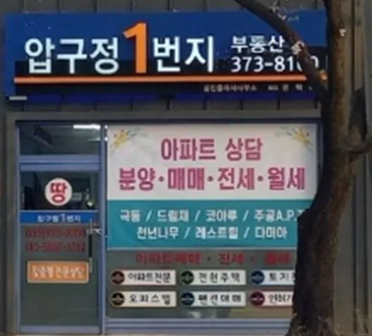 영월압구정1번지부동산중개사무소 대표 이미지
