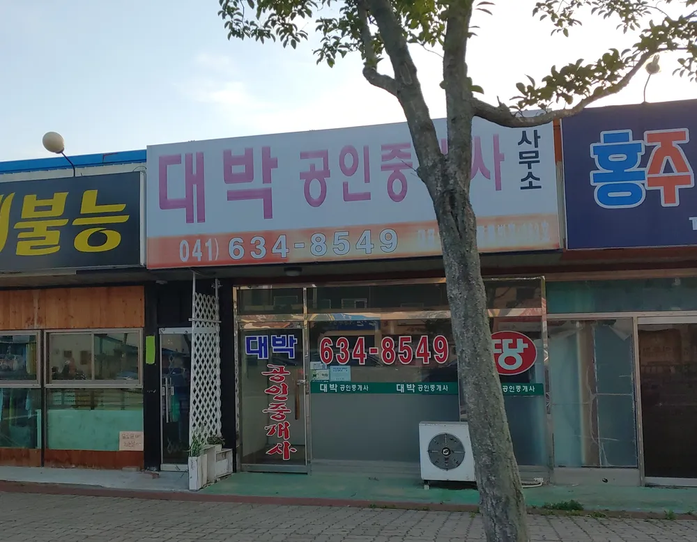 대박공인중개사 대표 이미지
