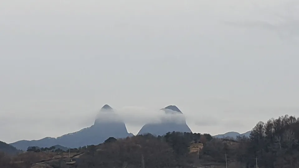 진안1공인중개사사무소 대표 이미지