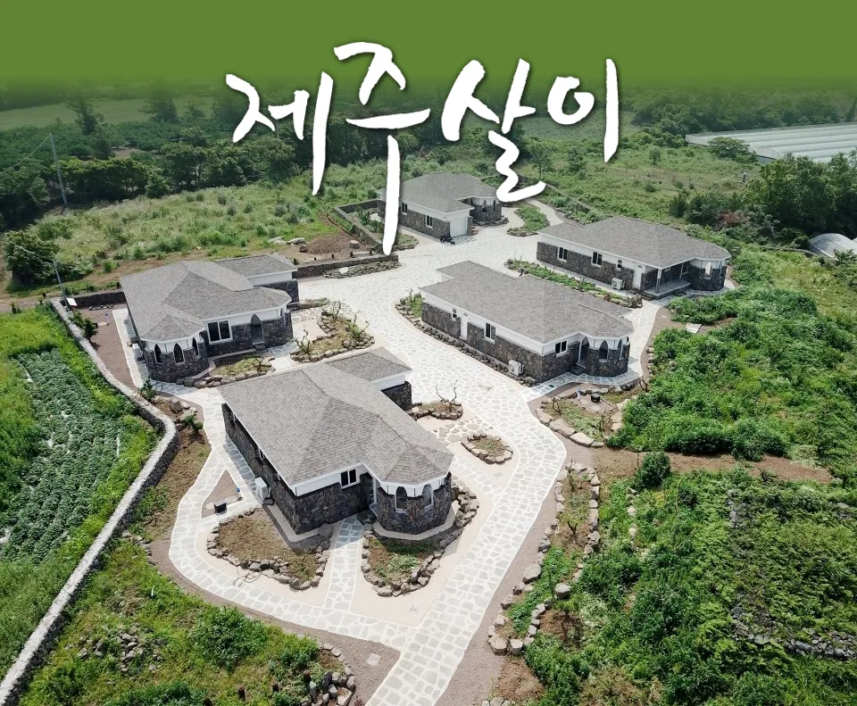 제주살이 대표 이미지