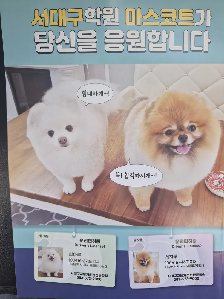 서대구자동차운전전문학원 대표 이미지