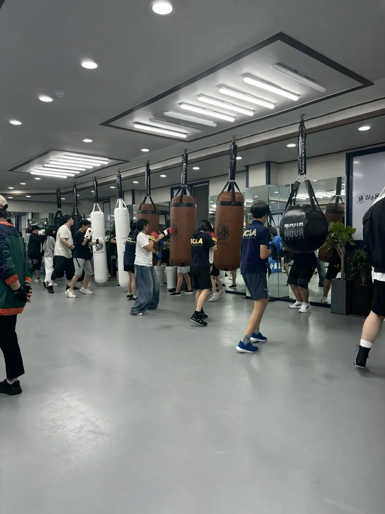 심수용복싱클럽 대표 이미지