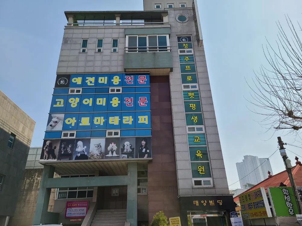 청주 프로펫 평생교육원 대표 이미지