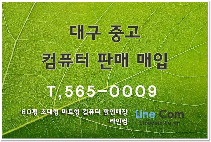 라인컴퓨터 대표 이미지