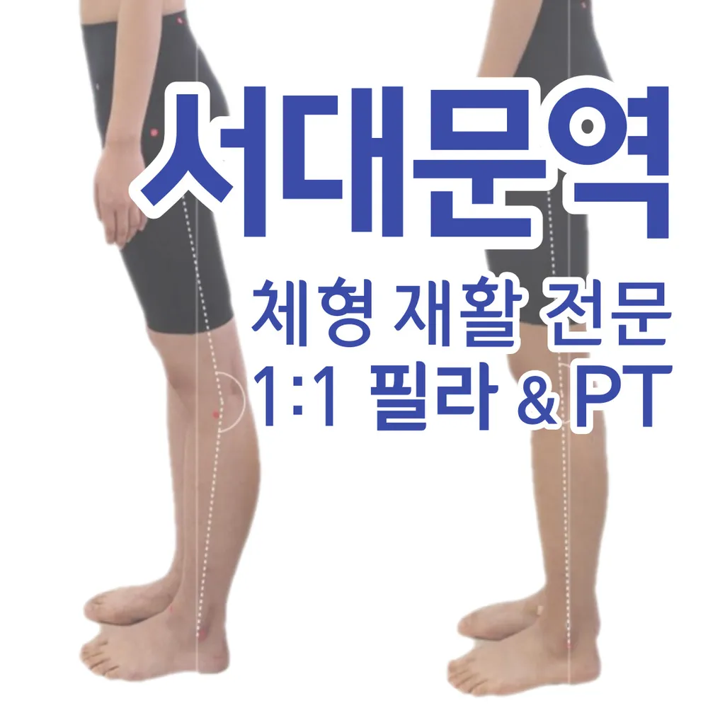 이지핏체형분석운동센터 PT&필라테스 대표 이미지