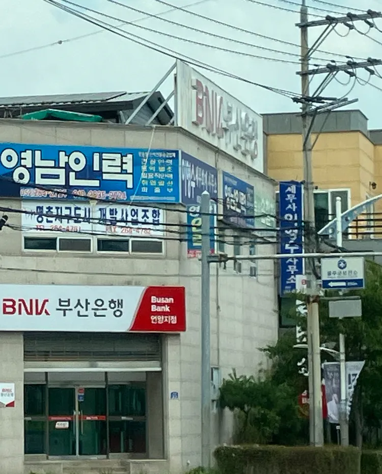 세무사 이영수사무소 대표 이미지