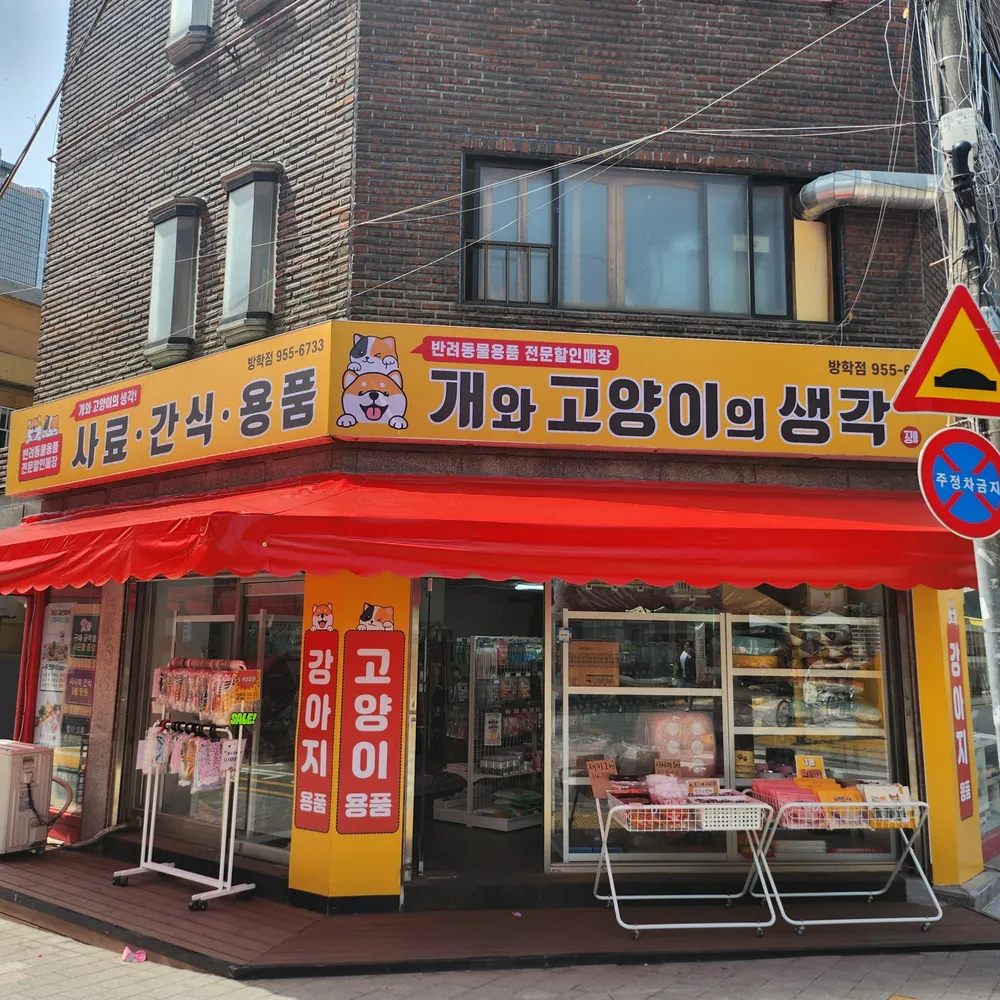 개와 고양이의 생각 대표 이미지