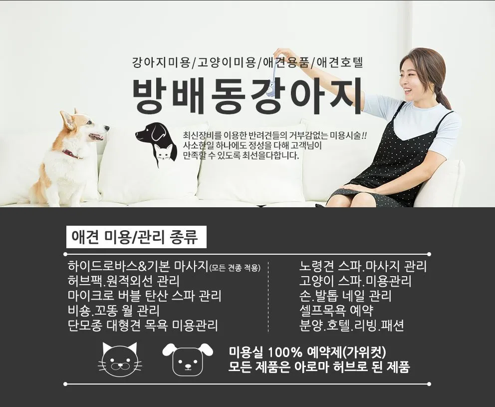 방배동강아지 대표 이미지