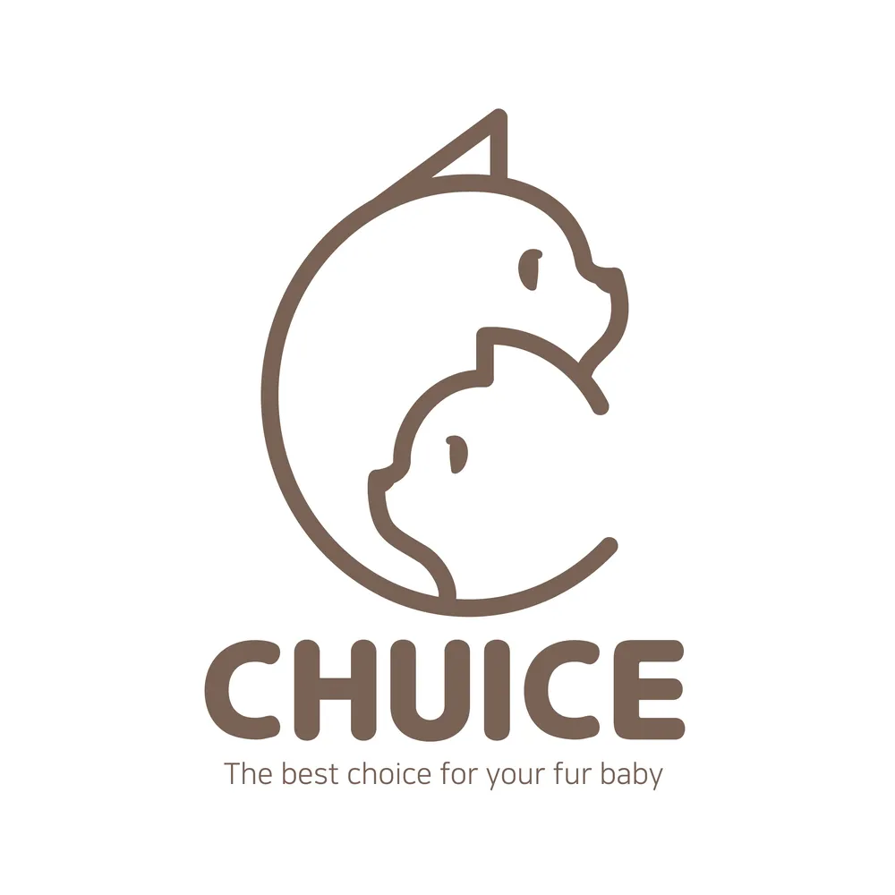 츄이스 [CHUICE] 대표 이미지