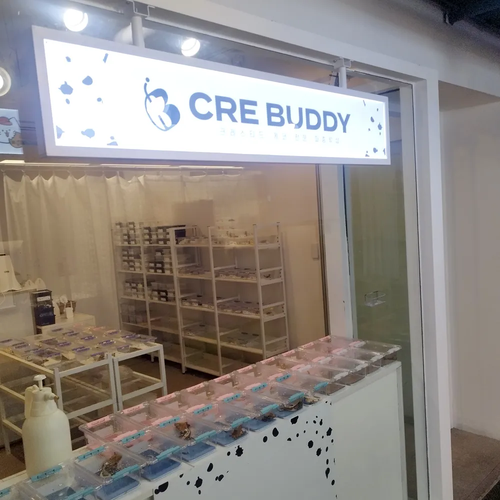 크레버디 대표 이미지