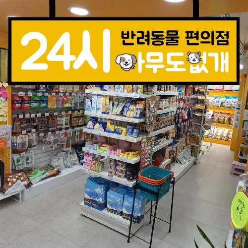 아무도없개 대표 이미지