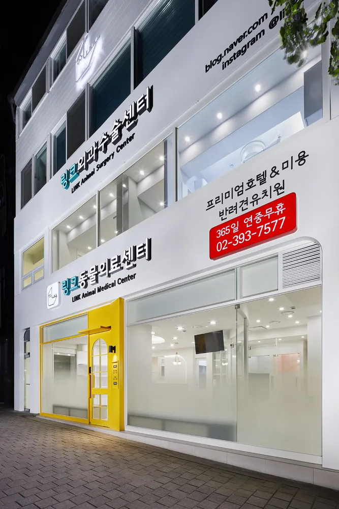 링크애견샵 대표 이미지