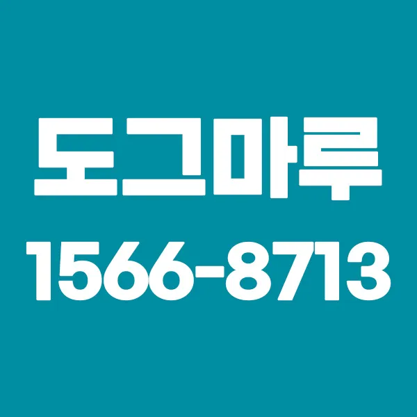 강아지고양이유기견무료말티푸랙돌먼치킨포메라니안 대표 이미지