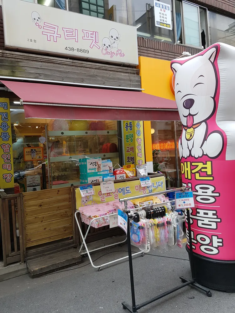 큐티펫 대표 이미지