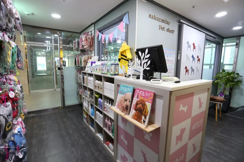 사쿠란보애견샵 대표 이미지