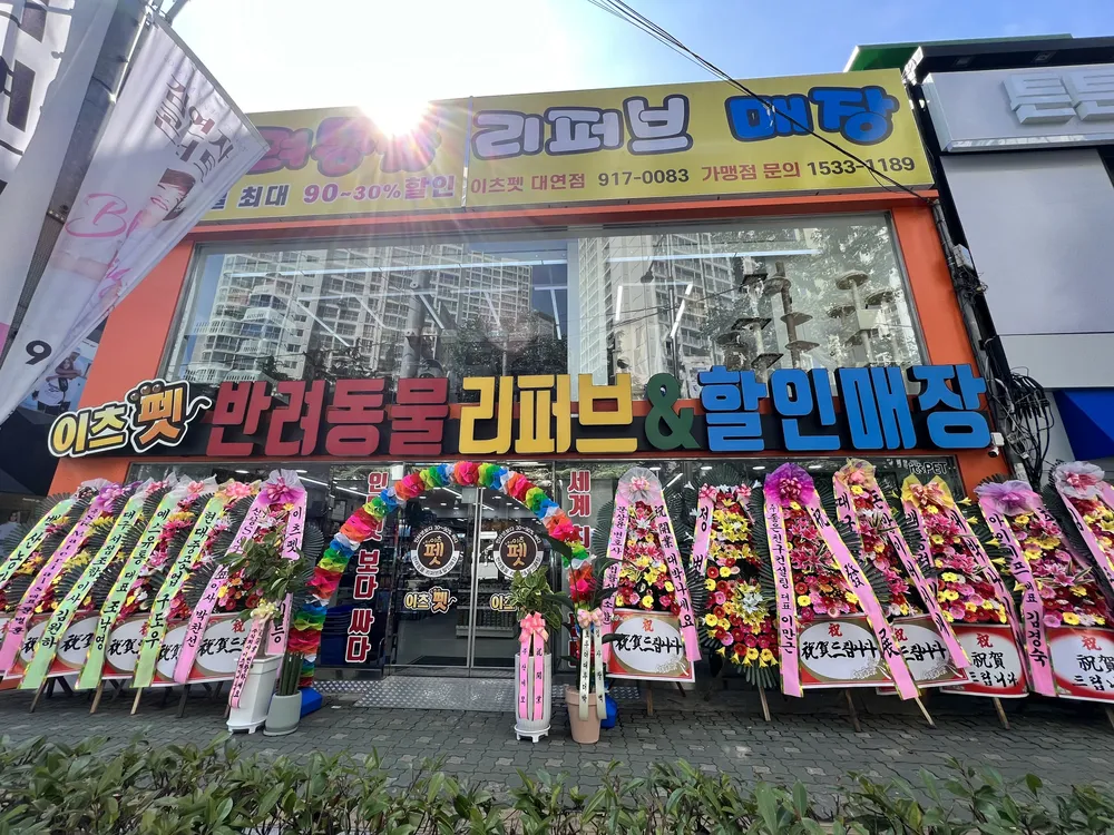 이츠펫 대표 이미지