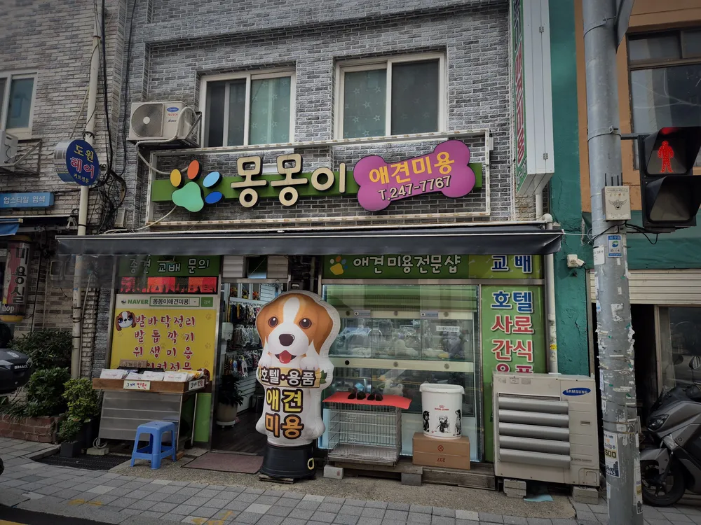 몽몽이애견미용 대표 이미지