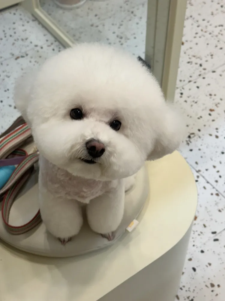 말랑멍무 대표 이미지