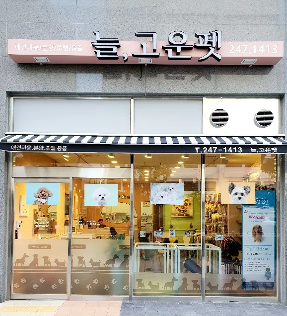 늘고운펫 대표 이미지