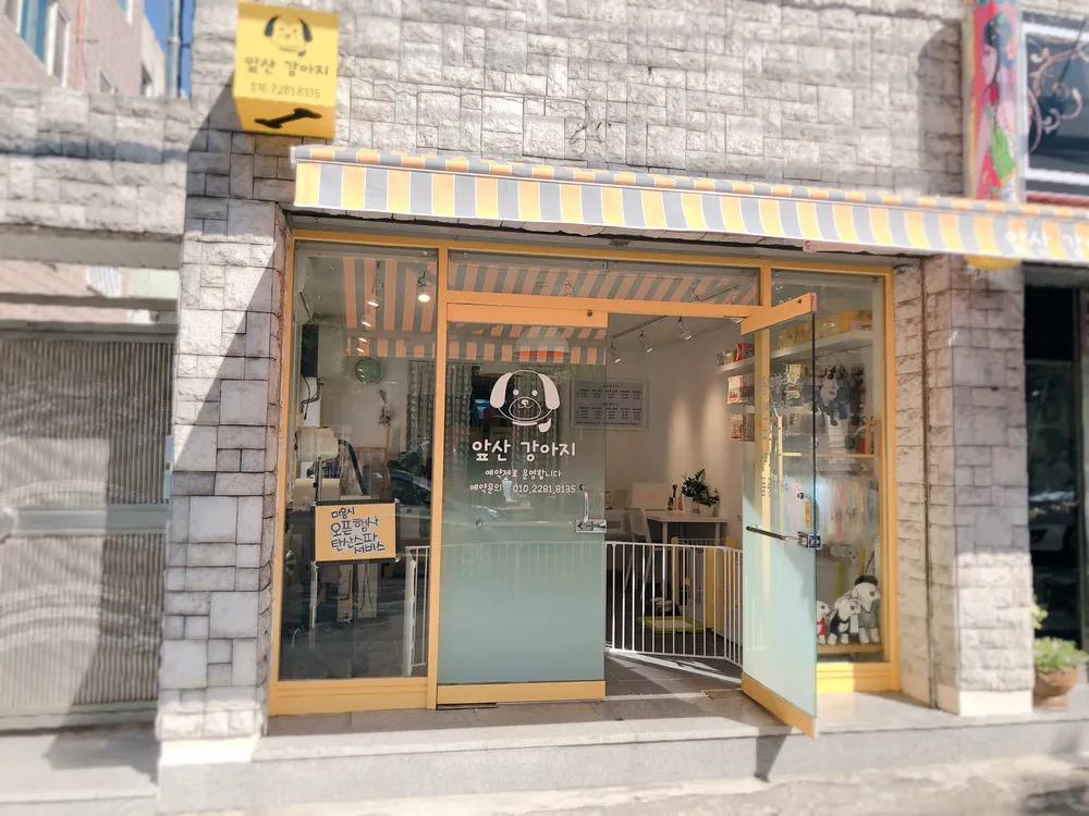 앞산강아지 대표 이미지