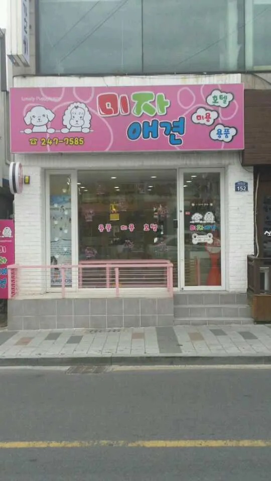 미자애견 대표 이미지