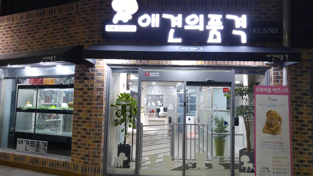 애견의 품격 대표 이미지
