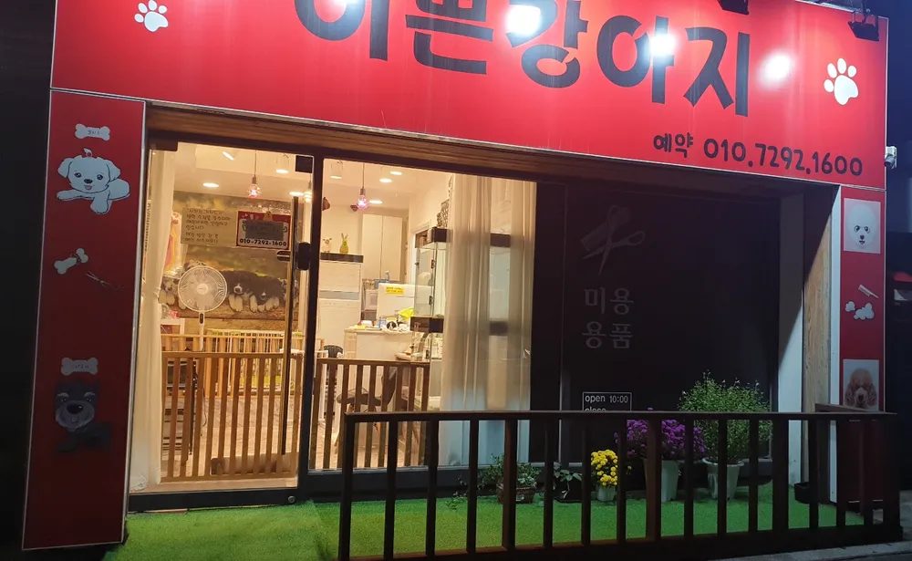 이쁜강아지 대표 이미지