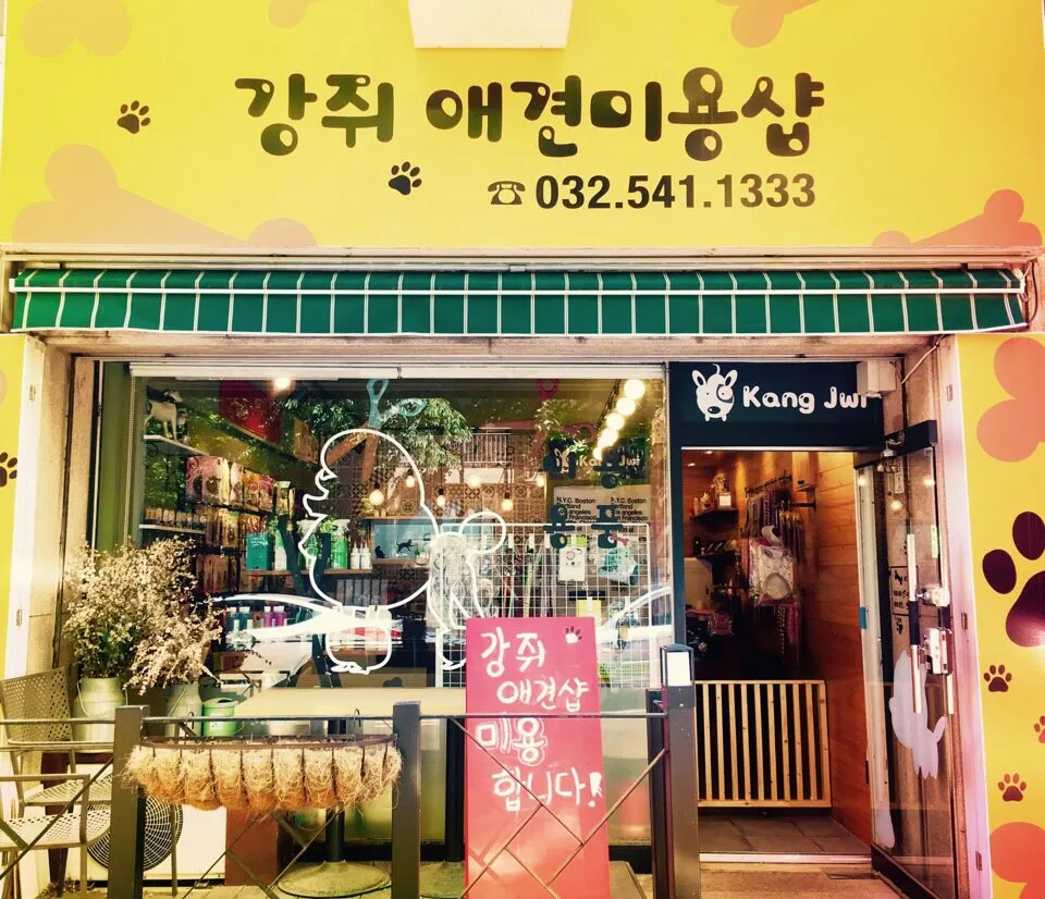 강쥐애견미용샵 대표 이미지