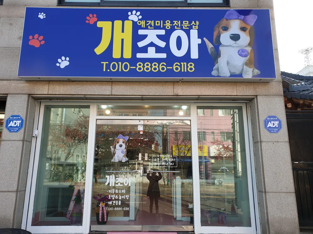 개조아 대표 이미지