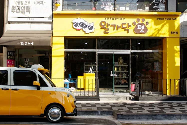 왈가닥펫 용현점 대표 이미지