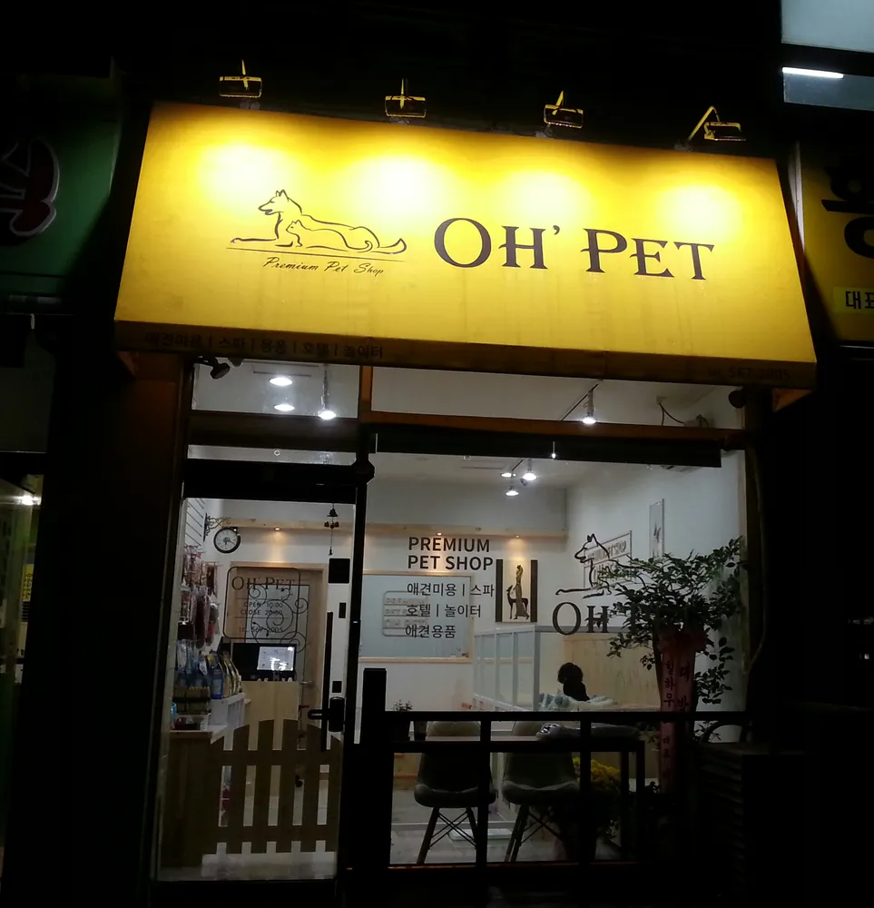 오펫애견샵 대표 이미지