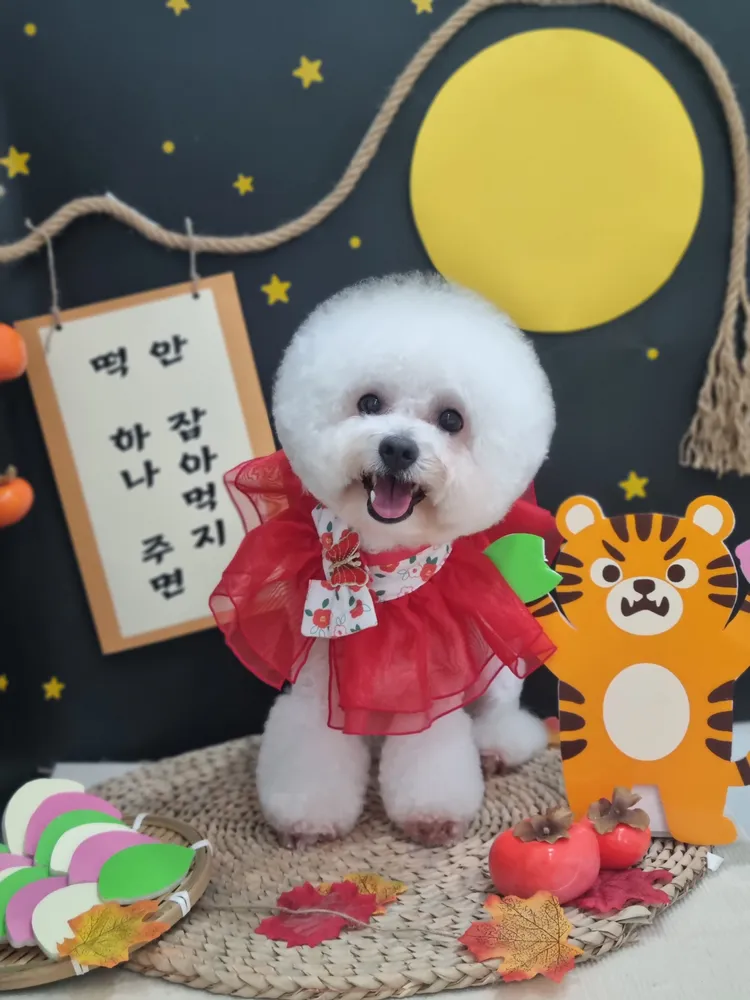 화멍화멍 대표 이미지