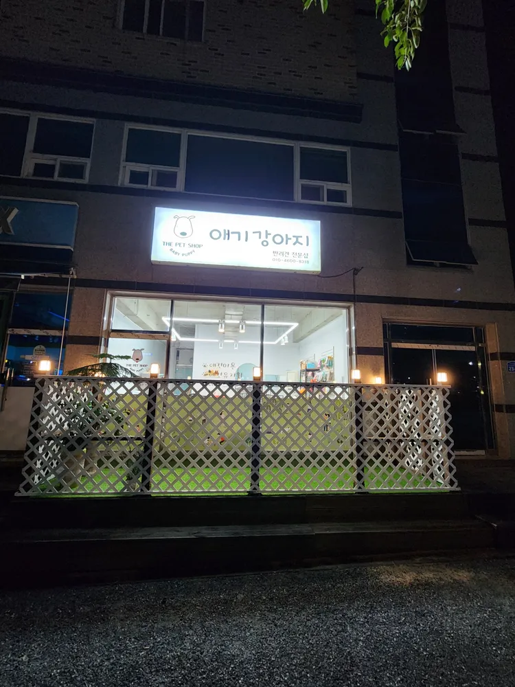 애기강아지 대표 이미지
