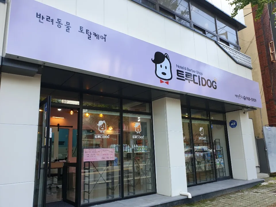 트루디독 대표 이미지