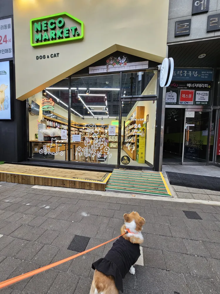 네코마켓 대표 이미지
