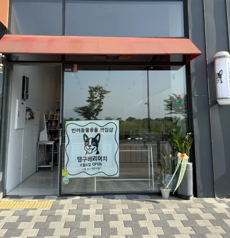 땡구베리머치 대표 이미지