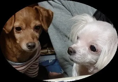 알콩샵 대표 이미지