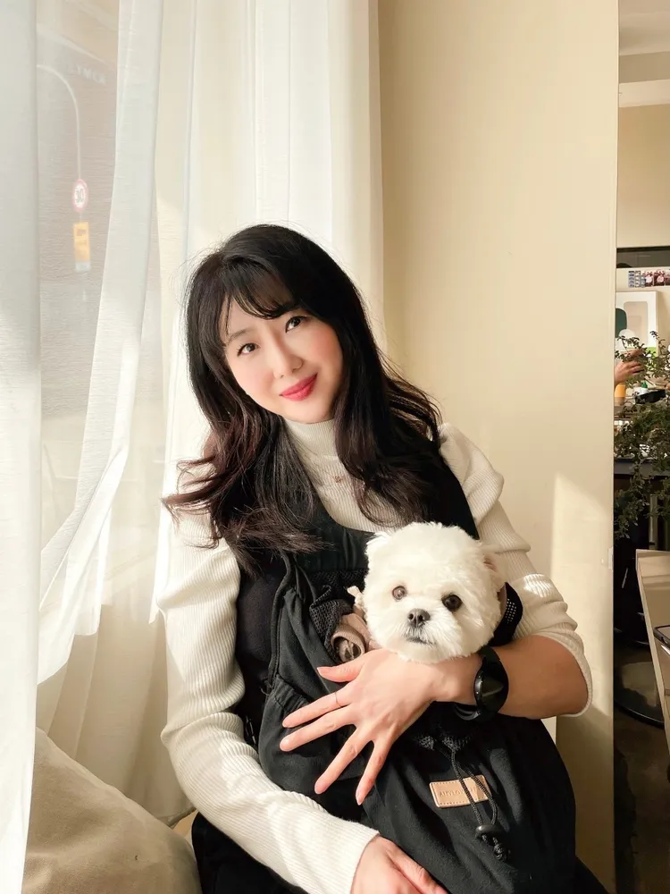 똥싼강아지 대표 이미지